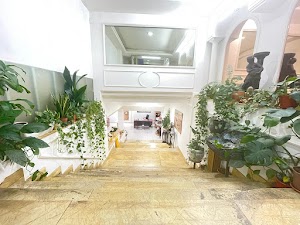ARGENTA Inmobiliaria. Venta de viviendas en Cáceres.