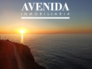 INMOBILIARIA AVENIDA